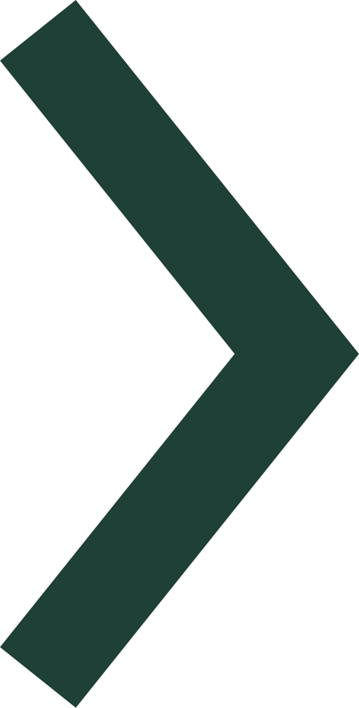 Decorative icon